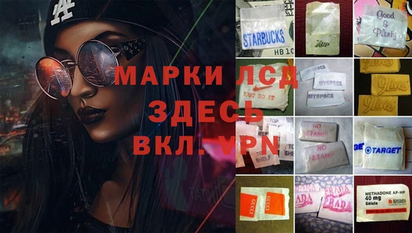 прущая мука Вяземский