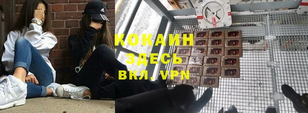 PSILOCYBIN Верея